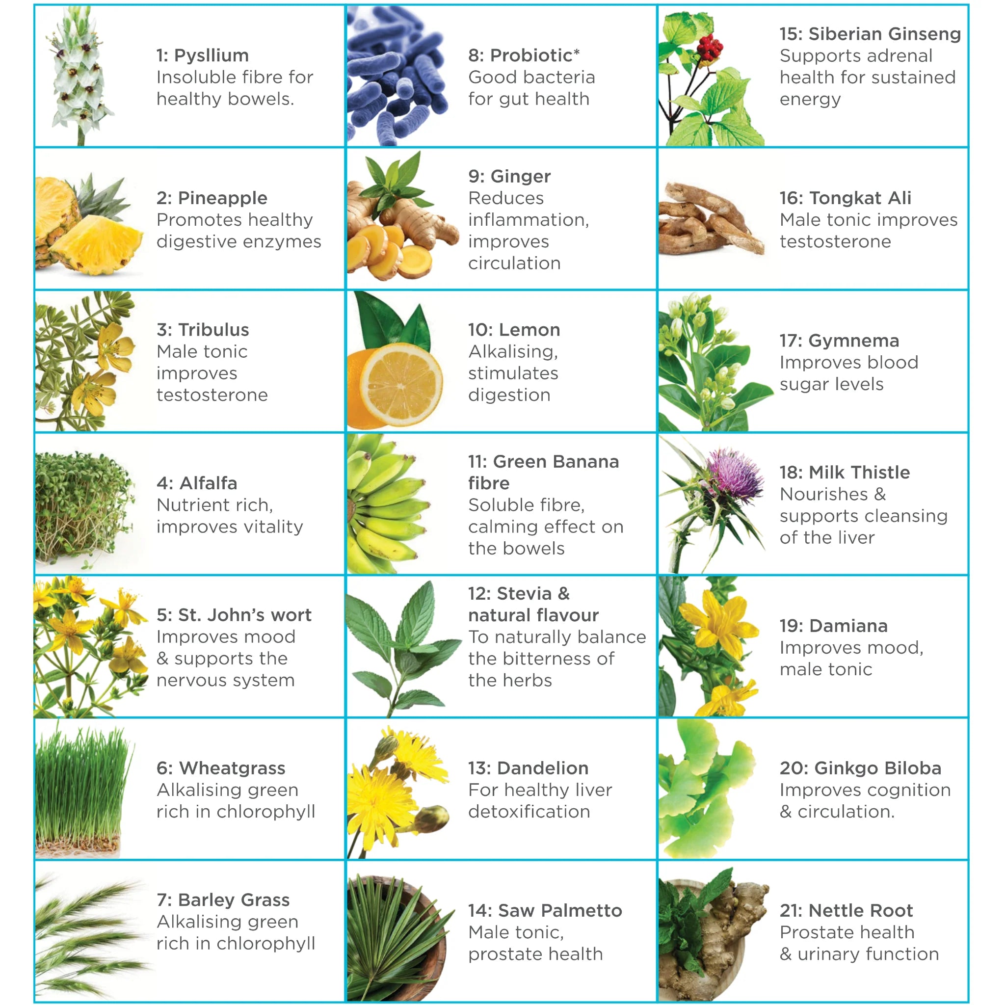 LIFESTART NATUROPATHICS MAN 21 300G