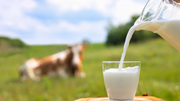 Scary Dairy: Why Dairy Might Not Be as Good for You as You Think