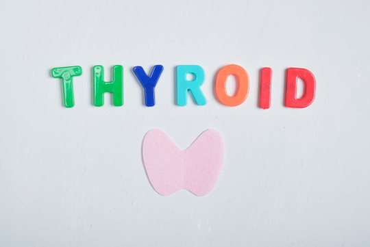 Your Thyroid: The Chameleon of the Health World